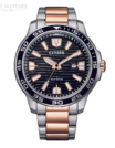 AW1524-84E.png