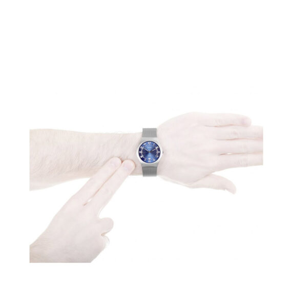 Bering-11937-078-2.jpg