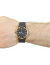 Bering-12939-166-2.jpg