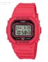 CASIO-DW-5600EP-4ER.jpg
