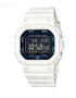 Casio-DW-B5600SF-7ER.jpg