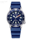 Citizen-EO2021-05L-1.jpg