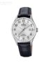 Festina-F200071.jpg