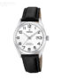 Festina-F204461.jpg
