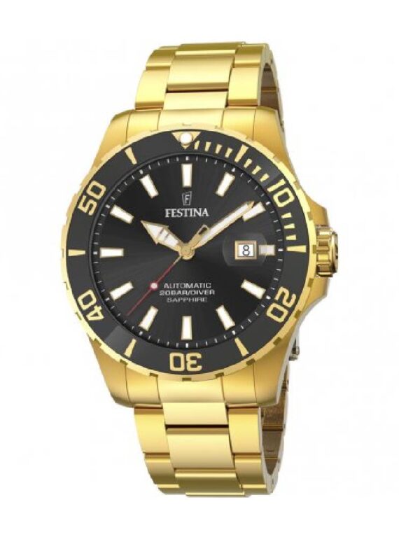 Festina-F205332.jpg