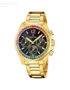 Festina-F206093.jpg
