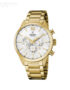 Festina-F206331.jpg
