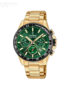 Festina-F206344.jpg