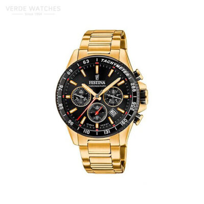 Festina-F206345.jpg