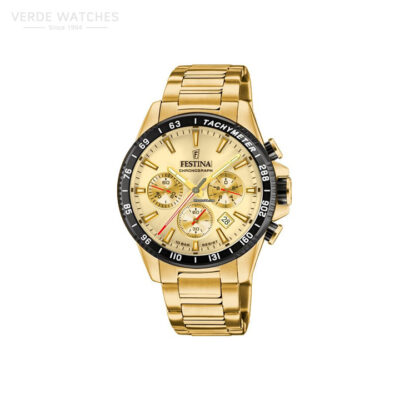 Festina-F206346.jpg