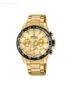 Festina-F206346.jpg