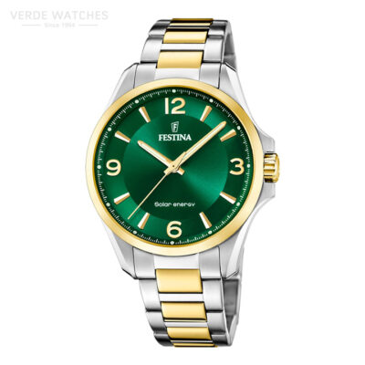 Festina-F206573.jpg
