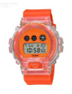 G-Shock-DW-6900GL-4ER-1.jpg