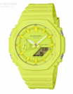 GA-2100-9A9ER-.png
