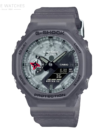GA-2100NNJ-8AER.png