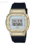 GM-S5600BC-1ER-.png