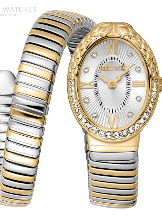 JUST-CAVALLI-–-JC1L390M0055.png