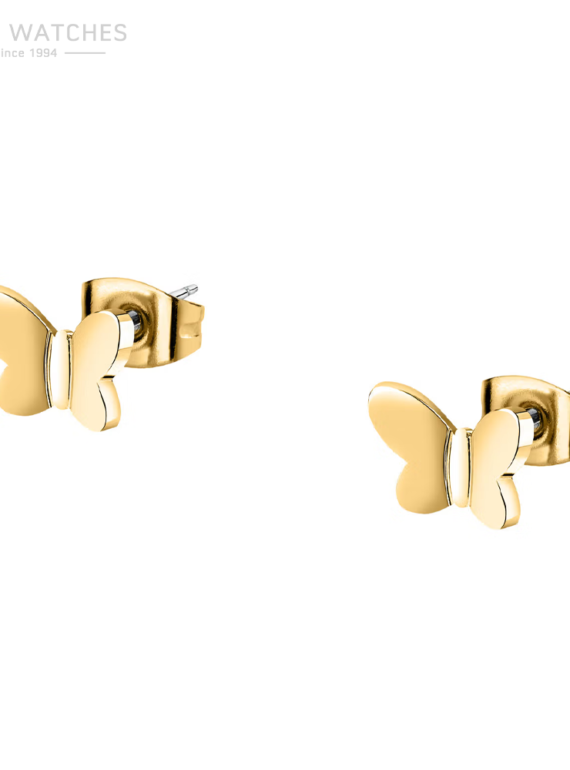 SAUN34.png