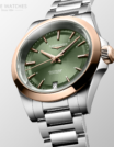 Verde-Template20.png