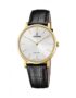 festina-swiss-f20016-1-mens-swiss-made-gold-tone-case-black-leather-wristwatch-p17338-65561_medium.jpg